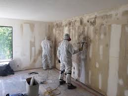 Why You Should Choose Our Mold Remediation Services in Bridgeport, CT